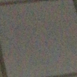 Meet your Posher, Rose